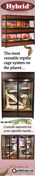 120x600 Hybrid Reptile Cages Banner