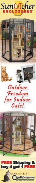 120x600 SunCATcher Cat Cages Banner