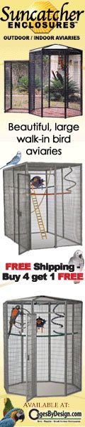 120x600 Suncatcher Bird Cages Banner