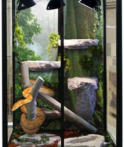 Ultimate Package: with Tall Forest Background Shown