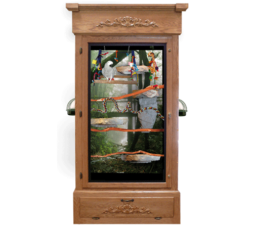 MB08 Bird Cage - 2