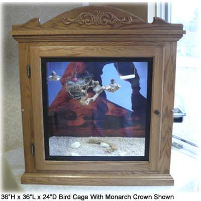 MB14 Bird Cage - 5