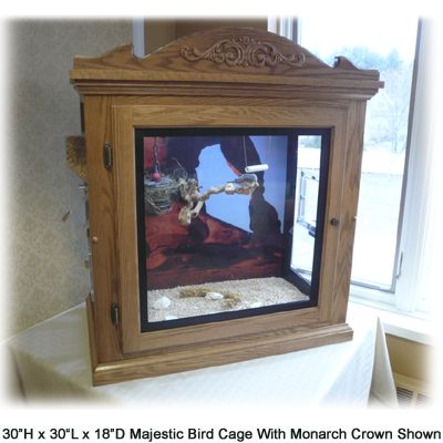 MB15 Bird Cage - 2