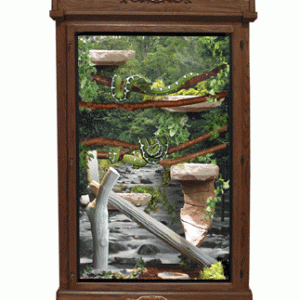 MR10 Reptile Cage 60"H x 48"L x 36"D