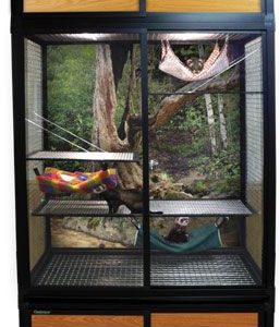 Adjustable Shelves for Stands
