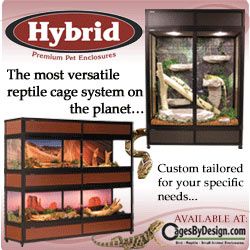 250x250 Hybrid Reptile Cages Banner