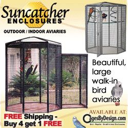 250x250 Suncatcher Bird Cages Banner