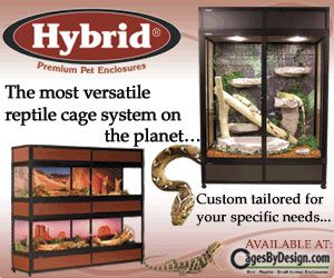 300x250 Hybrid Reptile Cages Banner