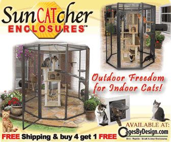 336x280 SunCATcher Cat Cages Banner