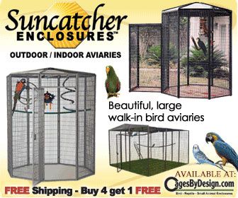 336x280 Suncatcher Bird Cages Banner