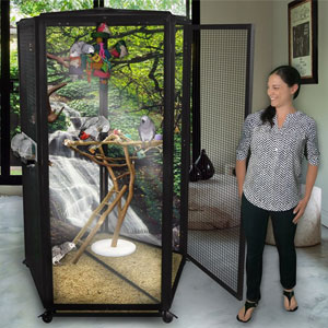 African Gray Cages