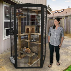 Cat Cages