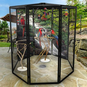 Outdoor Aviary