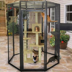 Outdoor Cat House