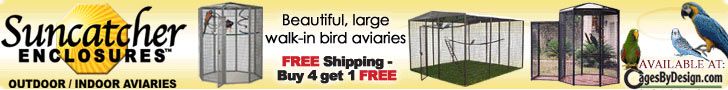 728x90 Suncatcher Bird Cages Banner