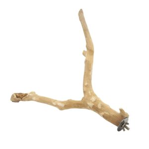 sandblasted attachable perch for birds and reptiles