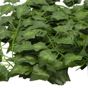 assorted vines for enclosure decor