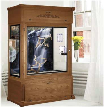 Beautiful Canary Cage, Bird Enclosures