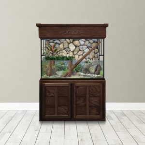 70 Gallon Glass Paludarium