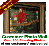 Customer Photo Wall