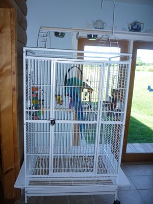 Play Top Bird Cage