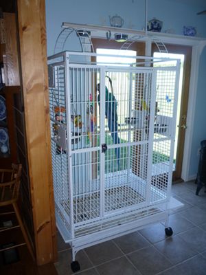 Play Top Bird Cage