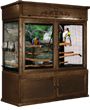 Decorative Bird Cage