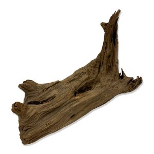 cedar root log for reptile decor