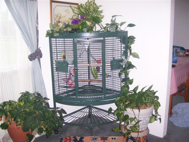 CFDS-1000 Corner Cage