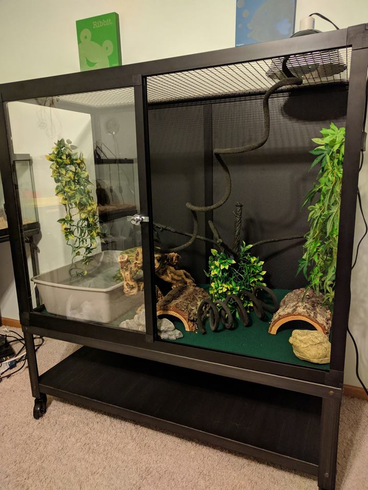 Hybrid Reptile Enclosure