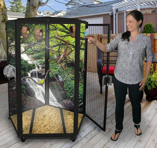 Parakeet Cages