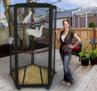 Cockatoo Cages