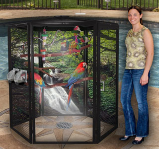 Parrot Cages
