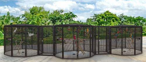 Finch Aviaries