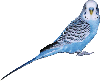 Download a Majestic Aviary Lease Application Today!