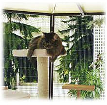 Outdoor Cat Beds