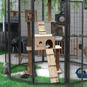 outdoor cat tree house in an outdoor cat enclosure
