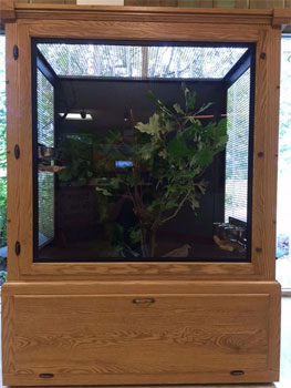 Crabtree Nature Center