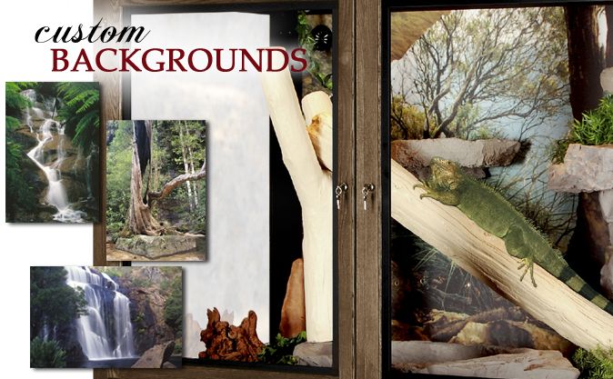Custom Image Backgrounds