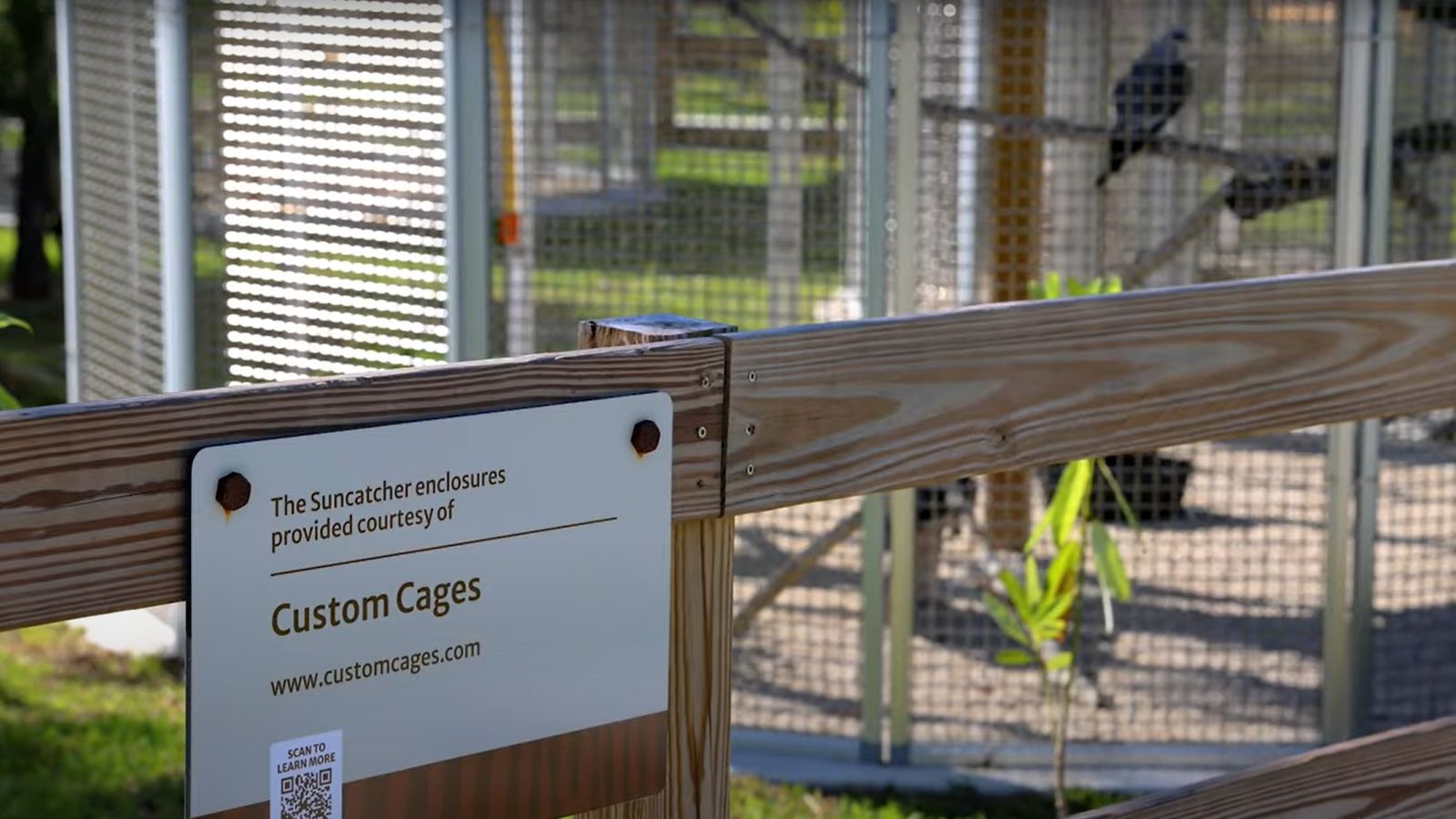 close up of a Custom Cages advertisement sign with an aviary and birds in the background