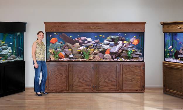 Custom Made Aquariums from Custom Aquariums