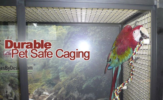 Durable Pet Safe Caging for Birds