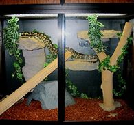Durable Safe Reptile Cage Materials