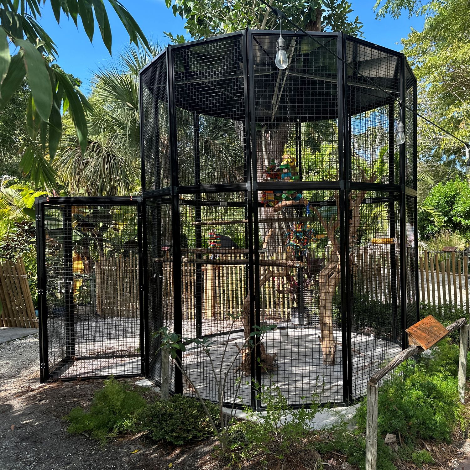 custom cages suncatcher aviary at everglades wonder garden florida