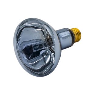 halogen spot lamp bulb from ZooMed