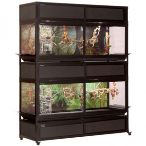Bird Combo Cage