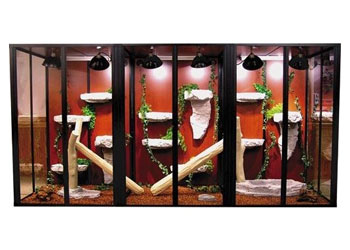 Large Reptile Cages