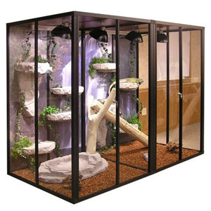 Monitor Cages