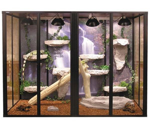 Iguana Enclosures