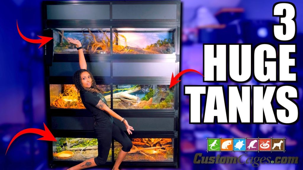 Hybrid Reptile Cages - 3 Huge Tanks